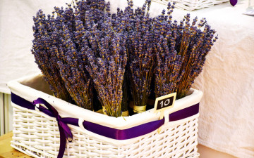 Картинка цветы лаванда ленты корзинка