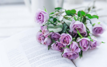 Картинка цветы розы лиловый