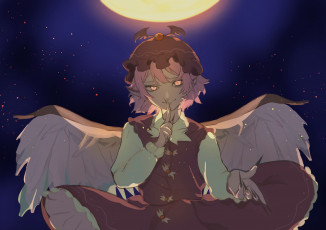 Картинка аниме touhou тоухоу