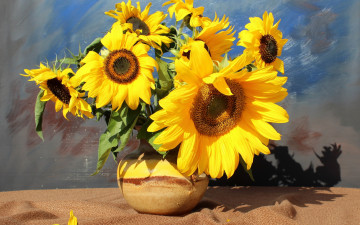 Картинка цветы подсолнухи подсолнух