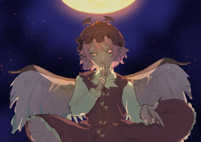 Обои картинки фото аниме, touhou, тоухоу