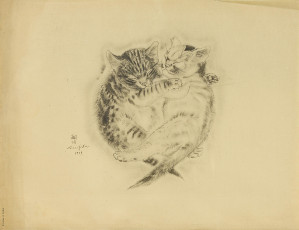 Картинка рисованное животные +коты кот кошка