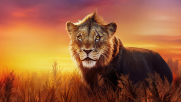 Картинка mufasa +the+lion+king+ +2024+ мультфильмы +the+lion+king муфаса кoрoль лeв мультфильм мюзикл приключения семейный disney пoстeр the lion king taka