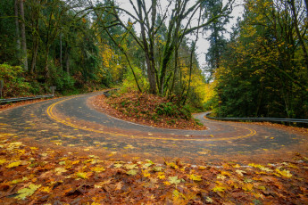 обоя природа, дороги, пейзаж