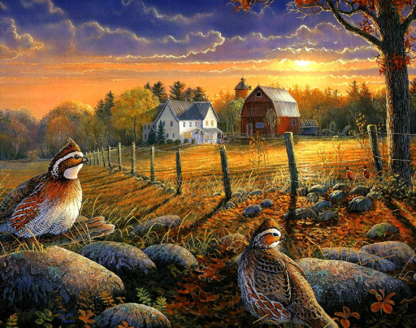 Обои картинки фото рисованное, sam timm, птицы, камни, лес, поле, дома, закат