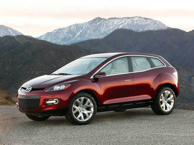 Обои картинки фото 