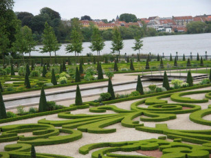 Картинка природа парк