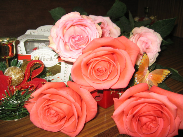 Обои картинки фото цветы, розы