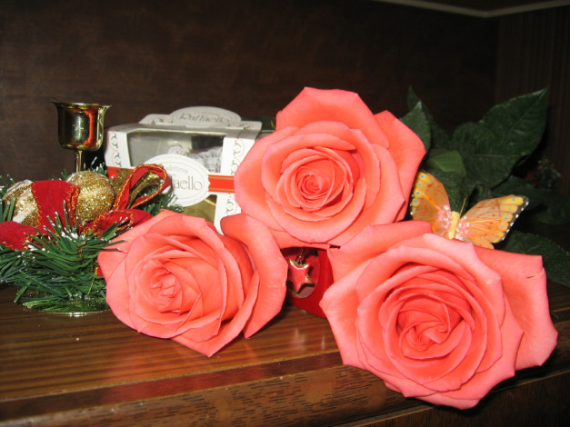 Обои картинки фото цветы, розы