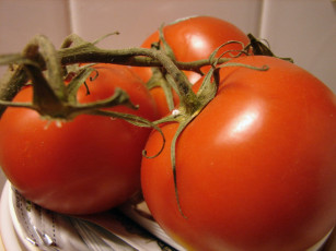 Картинка еда помидоры томаты