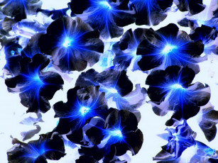 Картинка разное