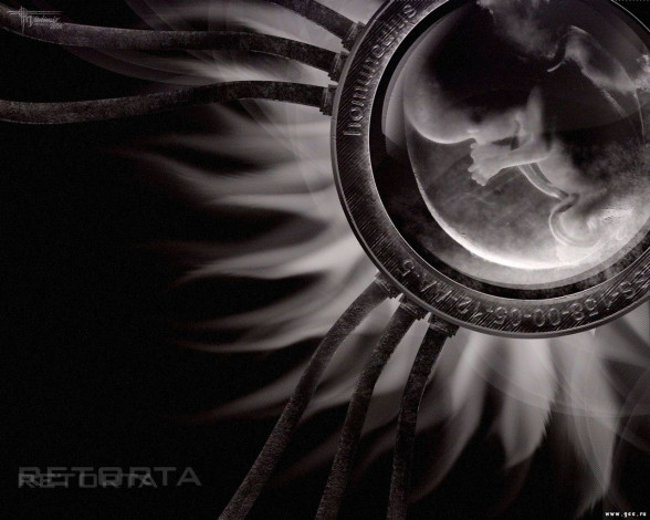 Обои картинки фото разное