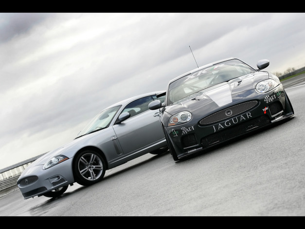 Обои картинки фото 2007, jaguar, xkr, gt3, автомобили