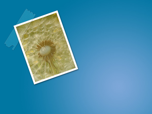 Обои картинки фото разное