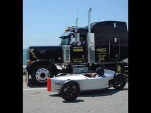 Картинка автомобили разные вместе