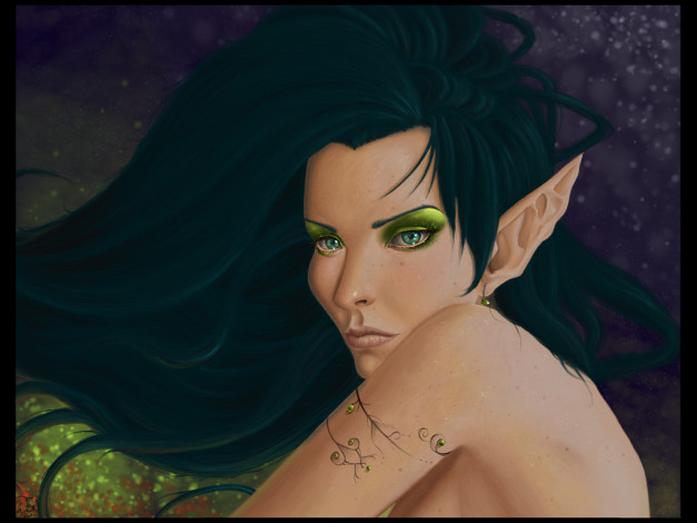 Обои картинки фото фэнтези, эльфы