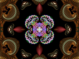 Картинка 3д графика fractal фракталы фон цвета узор линии