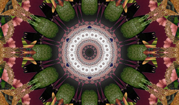 Картинка 3д графика fractal фракталы линии узор фон цвета