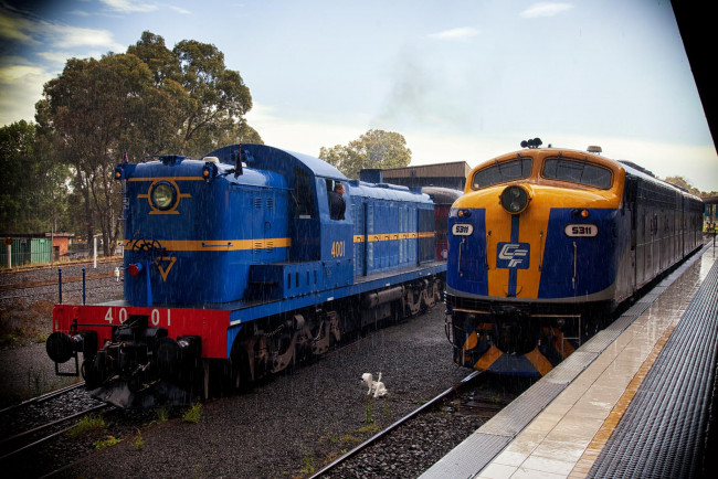 Обои картинки фото техника, поезда, состав, локомотив, дорога, железная