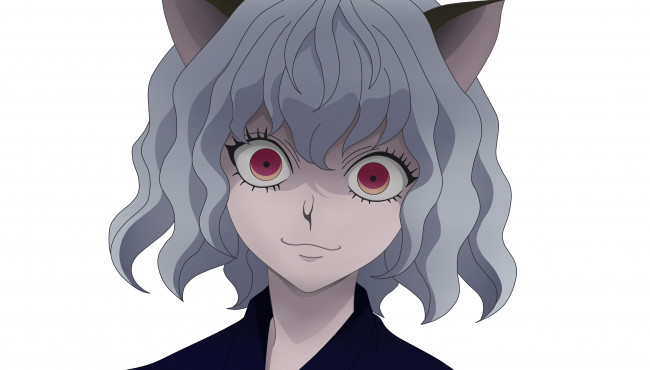 Обои картинки фото аниме, hunter x hunter, королевский, страж, неферпиту