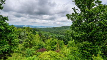 Картинка природа пейзажи простор