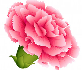 Картинка векторная+графика цветы+ flowers фон цветы