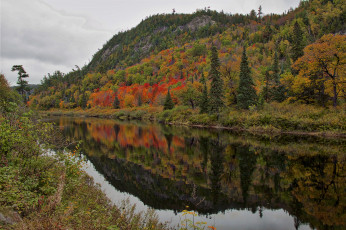 Картинка природа реки озера простор