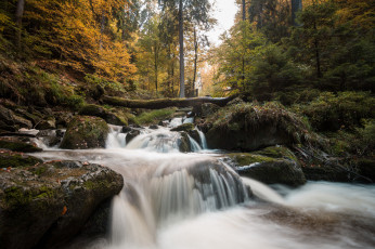 Картинка природа реки озера простор