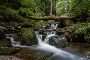 Картинка природа реки озера простор