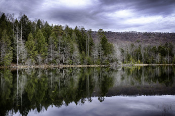 Картинка природа реки озера простор