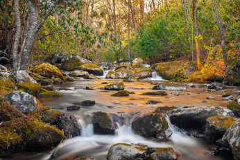 Картинка природа реки озера простор