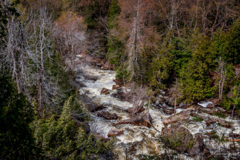 Картинка природа реки озера простор