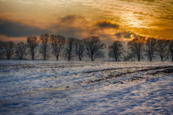 Картинка природа зима простор