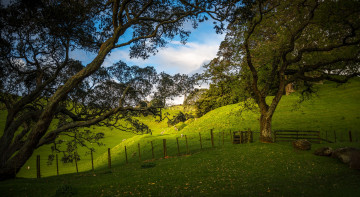 Картинка природа пейзажи простор