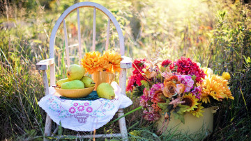 Картинка еда натюрморт цветы груши букет