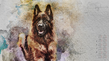 Картинка календари компьютерный+дизайн 2018 собака взгляд узор