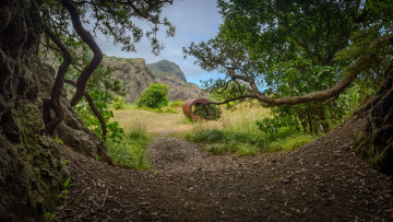 Картинка природа дороги простор