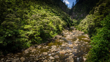 Картинка природа реки озера простор