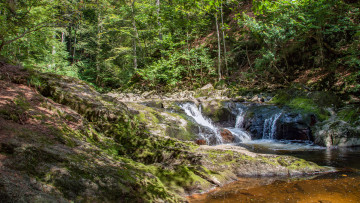 Картинка природа реки озера простор