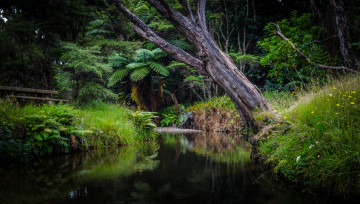 Картинка природа реки озера простор