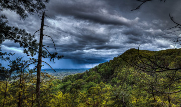 Картинка природа пейзажи простор