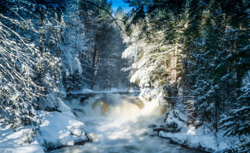 Картинка природа зима простор