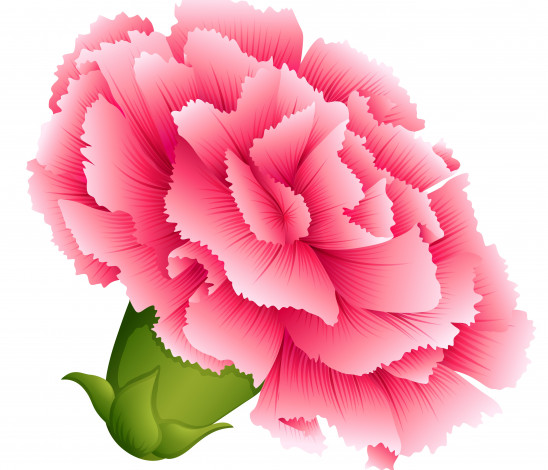 Обои картинки фото векторная графика, цветы , flowers, фон, цветы