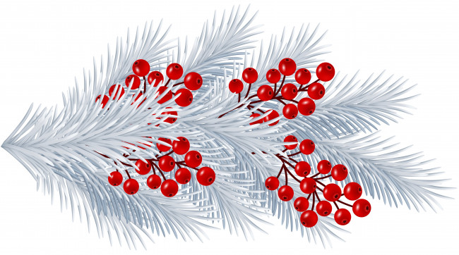 Обои картинки фото векторная графика, природа , nature, ягоды, ветка