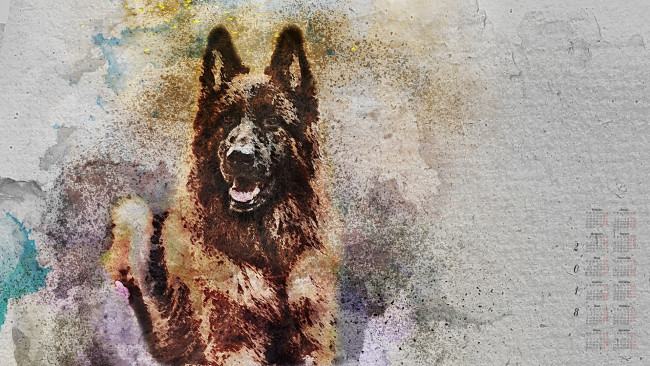 Обои картинки фото календари, компьютерный дизайн, 2018, собака, взгляд, узор