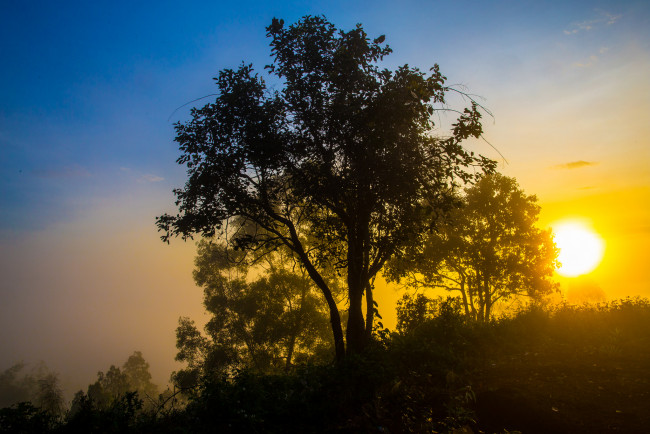 Обои картинки фото природа, восходы, закаты, простор