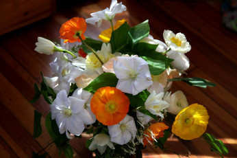 Картинка цветы букеты +композиции букет