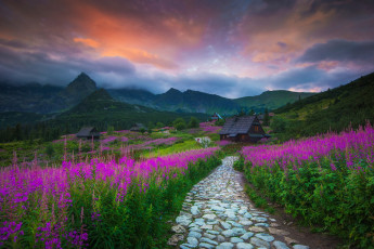 Картинка города -+пейзажи цветы горы польша домики тропинка татры иван-чай