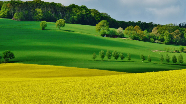 Обои картинки фото природа, поля, поле