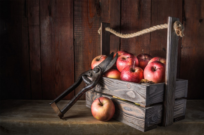 Обои картинки фото еда, яблоки, доски, веревка, красные, фрукты, натюрморт, ящик